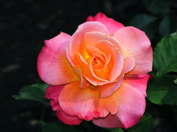 Granada photo gra2013_06130095_zps6ad41a17.jpg